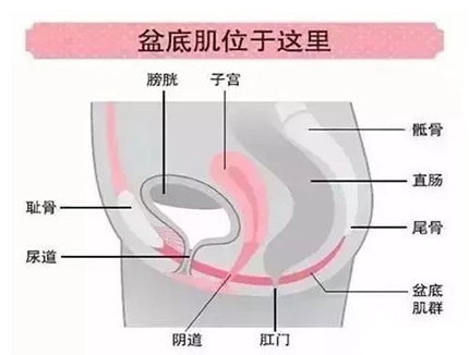 1656985131328332.png image.png