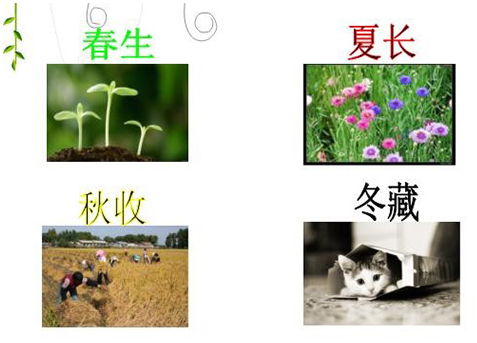 1657072470595763.png image.png