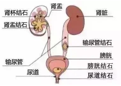 1657087972104842.png image.png